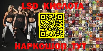 прущие крисы Моздок