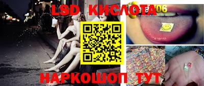 прущие крисы Моздок