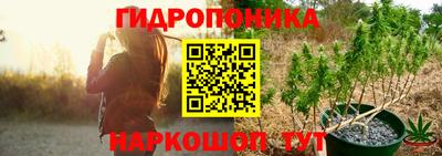 прущие крисы Моздок