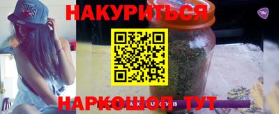 прущие крисы Моздок