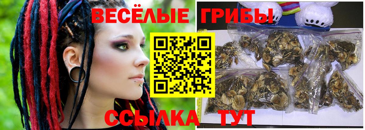 Галлюциногенные грибы Psilocybine cubensis  Псилоцибиновые грибы ЛСД  Шали  Вход с VPN 