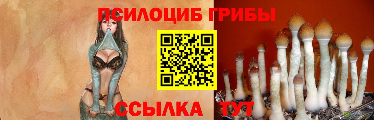 Галлюциногенные грибы Magic Shrooms  Шали 