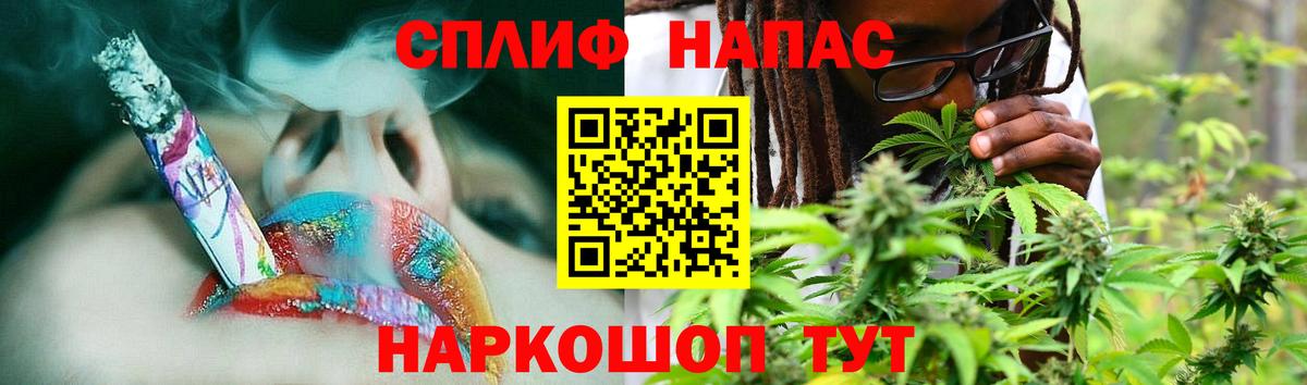 Канабис гибрид Шали